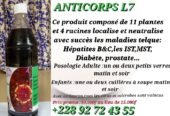 Anticorps L7