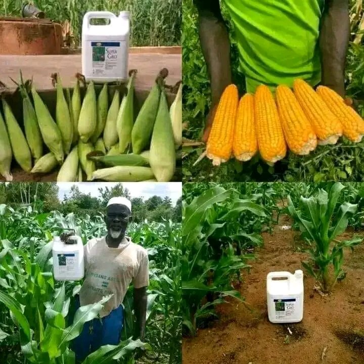 L’engrais Bio liquide SUPER GROS .. profil aux agriculteurs