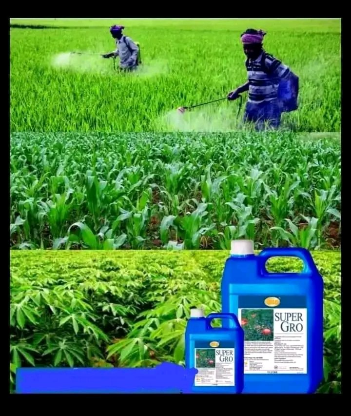 L’engrais Bio liquide SUPER GROS .. profil aux agriculteurs