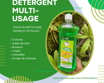 detergent-multi-usage-2